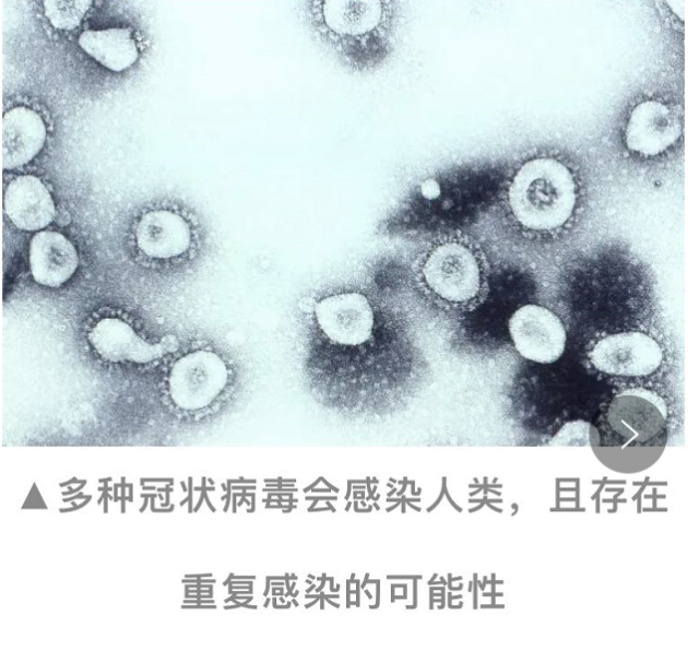 中国国际会展业将迎来二次大面积停摆丨会展人何去何从
